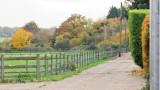 image07