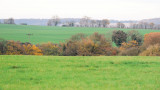image17