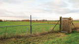 image37