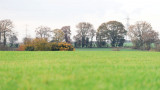image39
